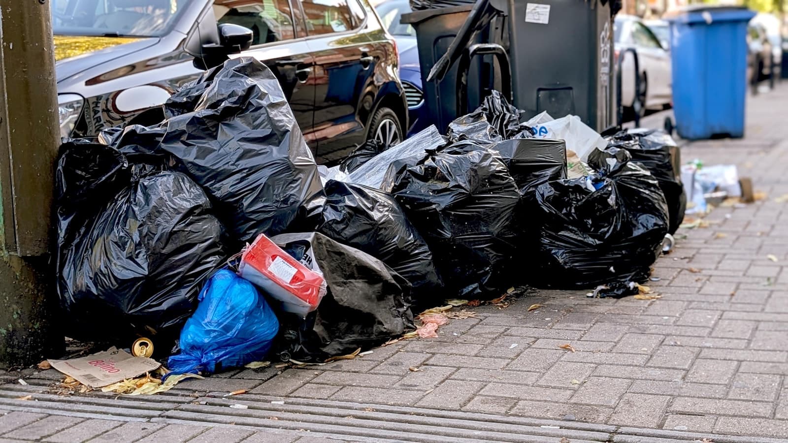 Pile of black trash bags on a NYC sidewalk awaiting DSNY collection